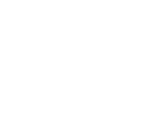 Logo - Junior Diplomat Initiative