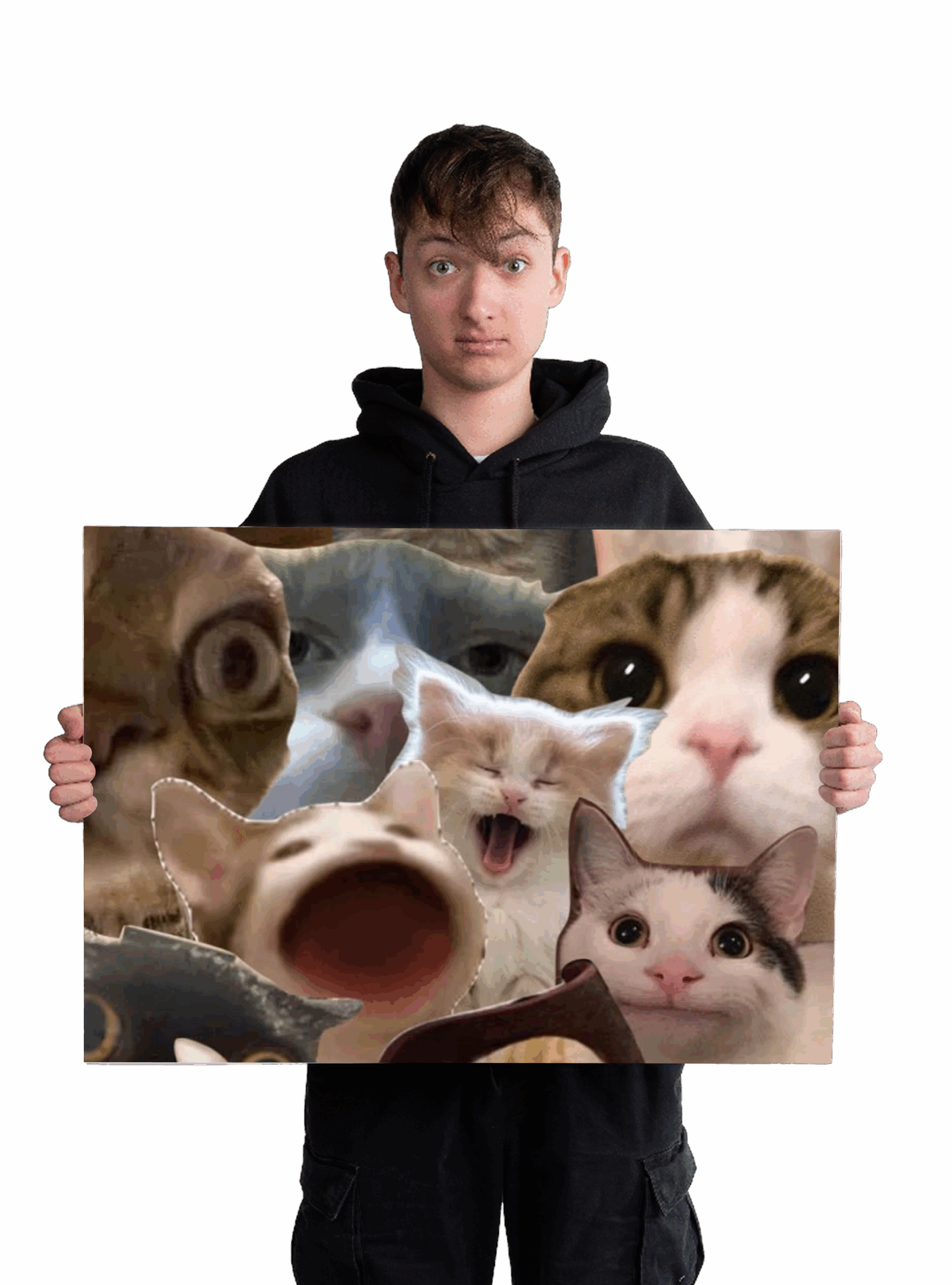 Obrázek pro pozici: PR - Grafik